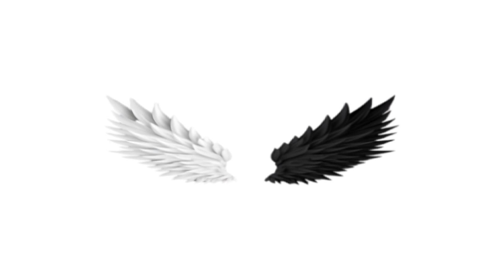 The Nightly Angelsのバナー