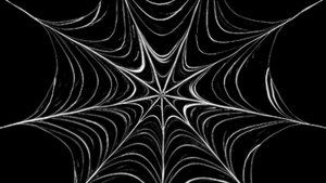 Tarantulas United