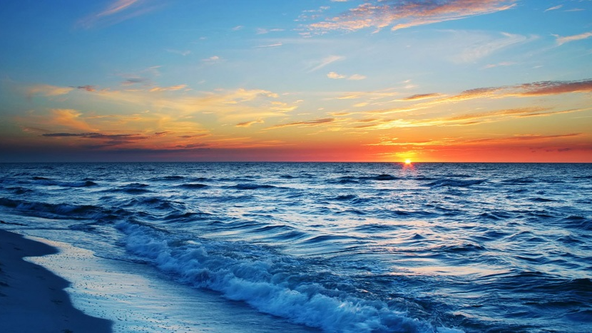 The Caspian Seaのバナー