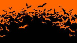 bats 'o batsのバナー