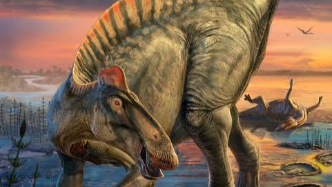 Dinosaur loversのバナー