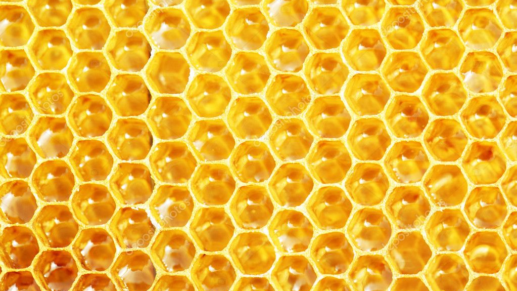 The Queen's Hive
