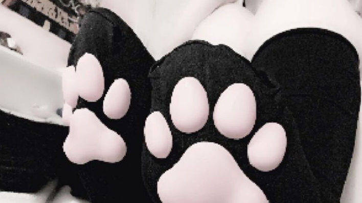 PawSockLoverのバナー