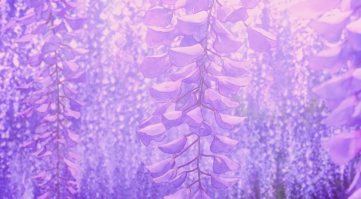 LavenderTown