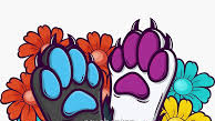 The Cute Beansのバナー