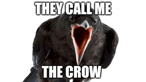 They call me the Crowのバナー
