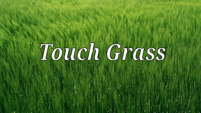 Grass Touchers Anonymous