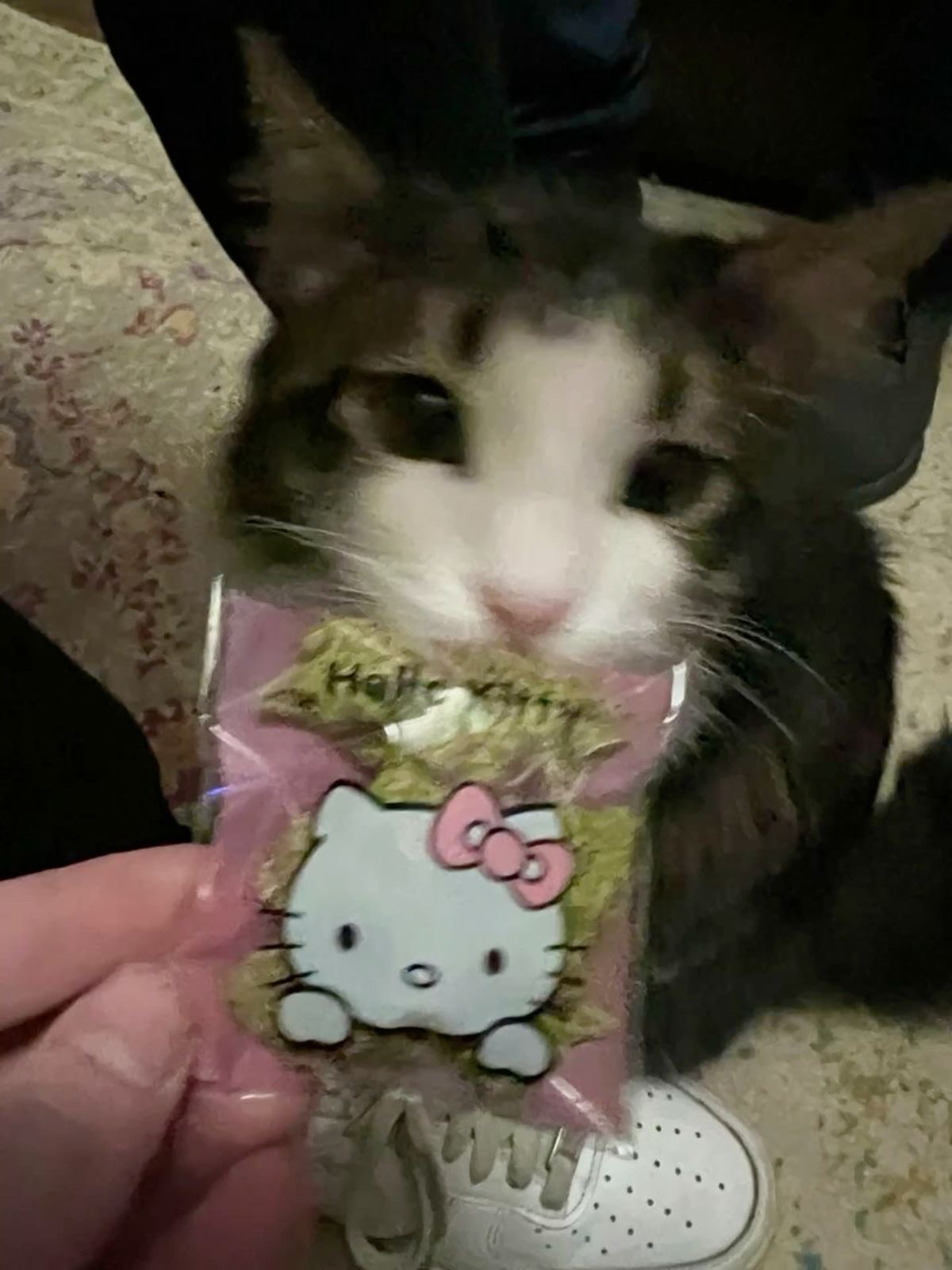Popcorn