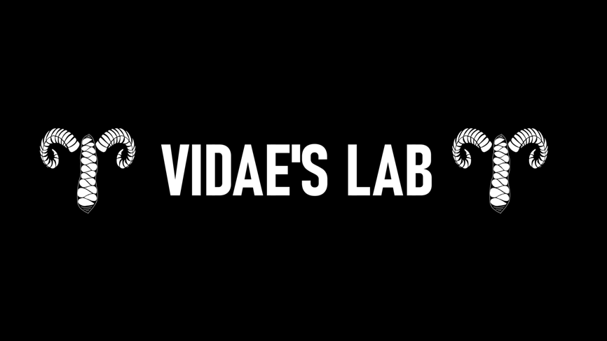 Vidae's lab