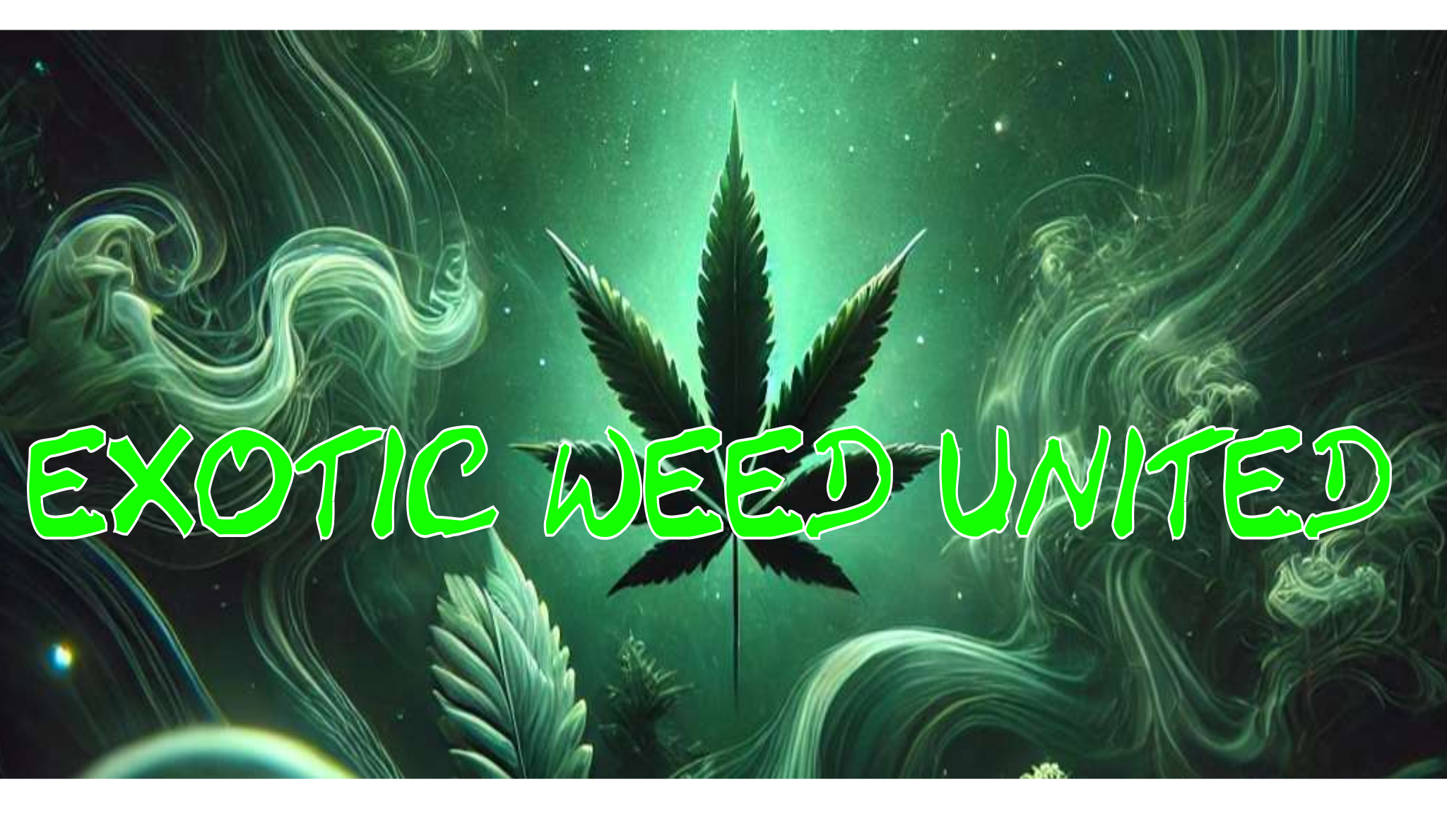 EXOTIC WEED UNITEDのバナー
