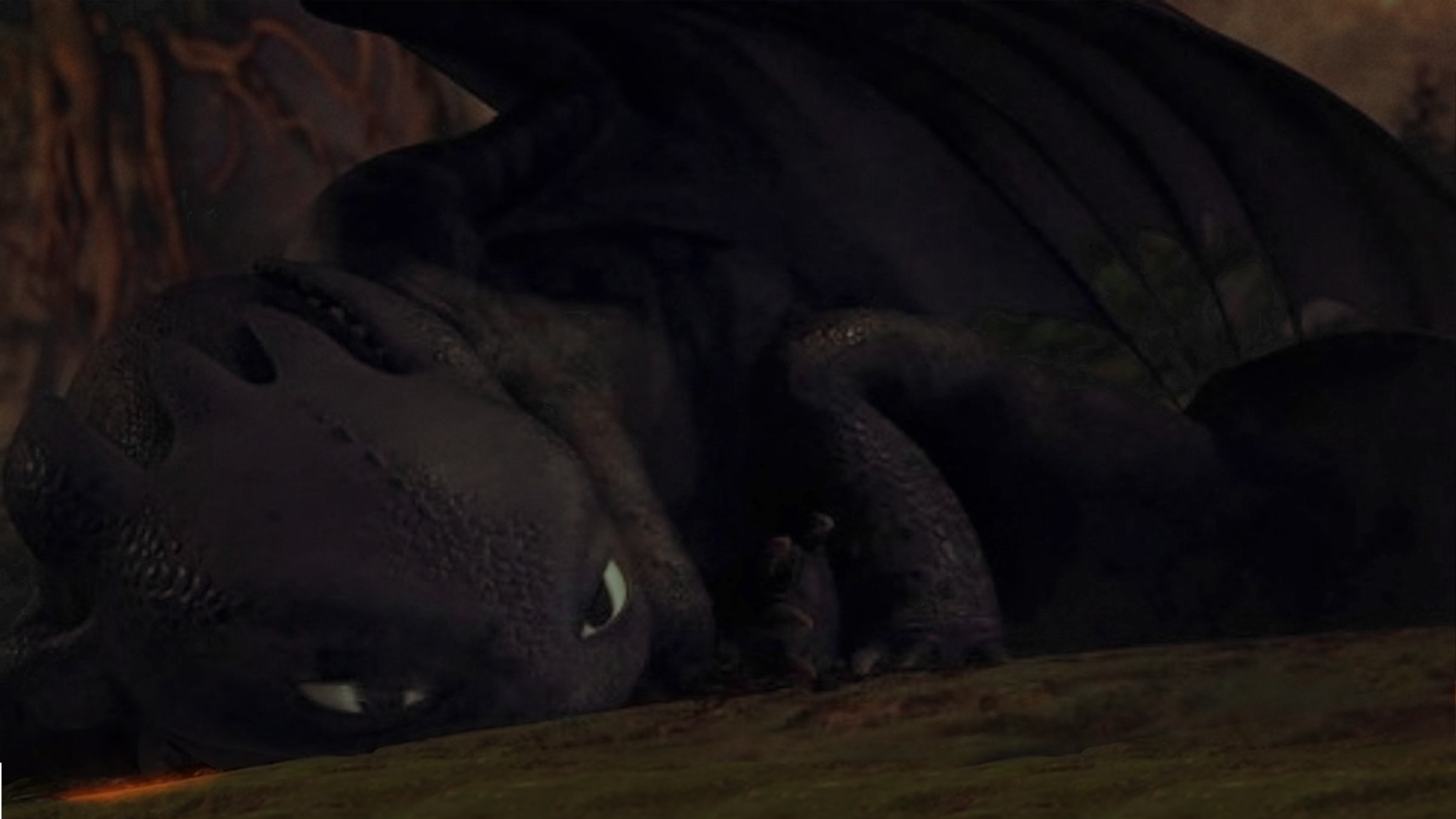 Sleepy Dragons