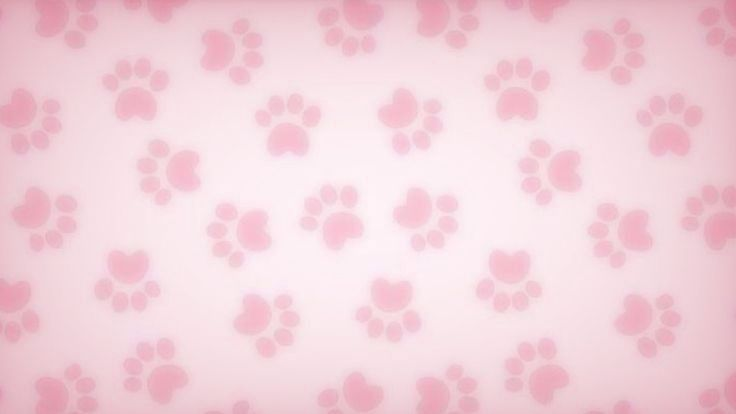 pawzzのバナー
