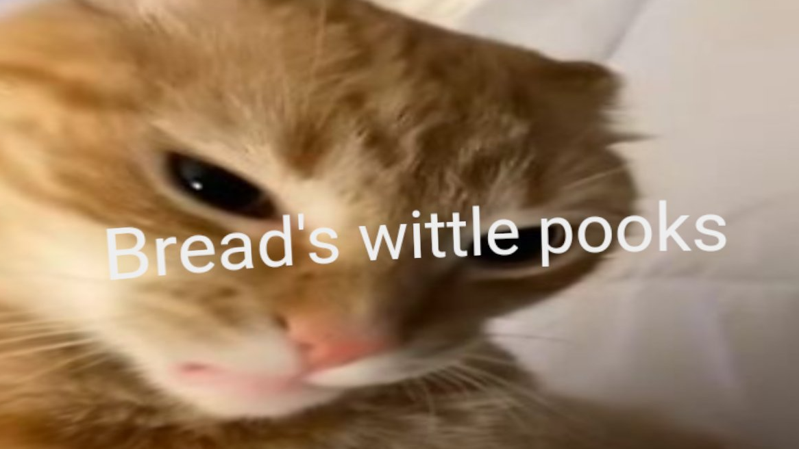 breads pooks