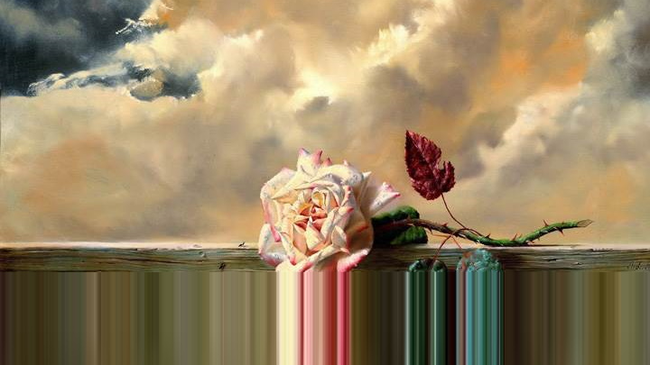 Roses