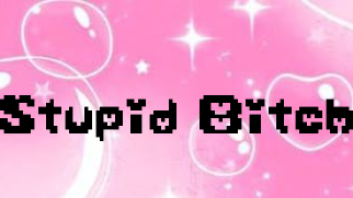 Stupid bitch clubのバナー
