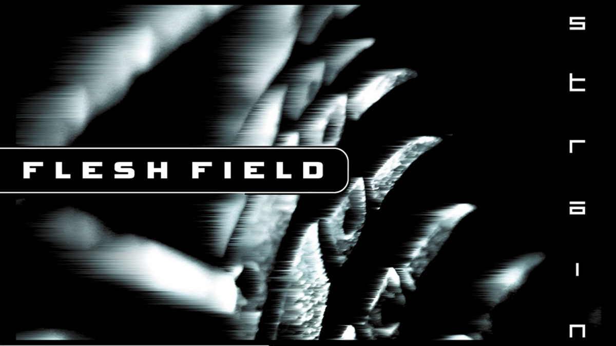 FLESH FIELD
