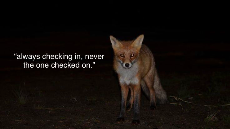 Da Fox Lovers