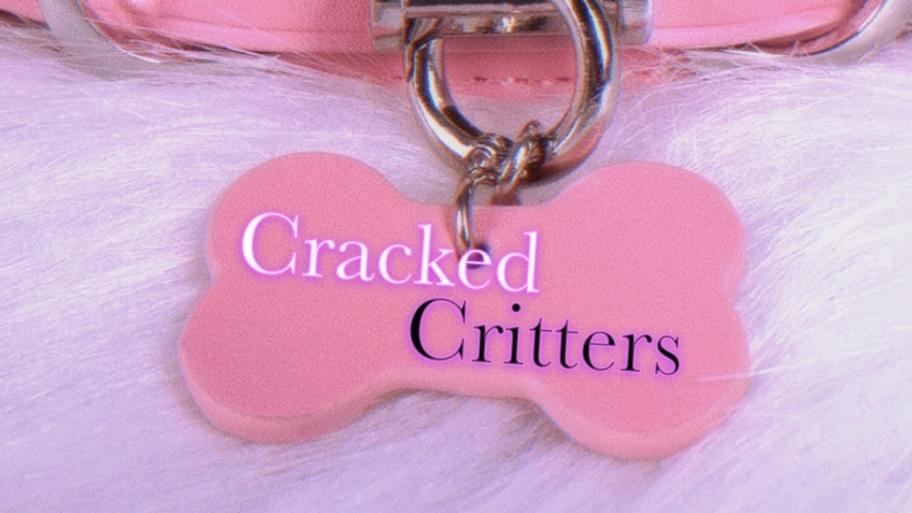 Cracked Crittersのバナー