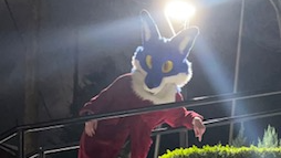 Safire The Five Star Foxes Community hangoutのバナー