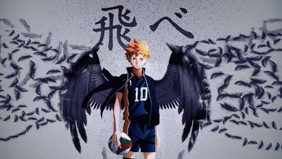 SHOYO HINATA THE ULTIMATE DECOYのバナー
