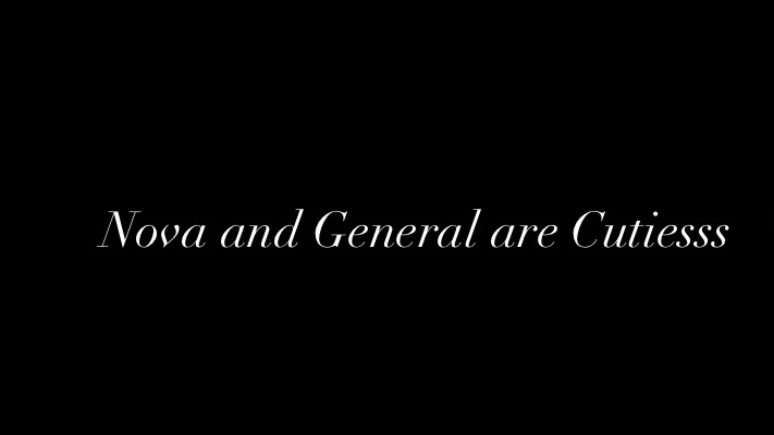 Nova and General are a cute coupleのバナー