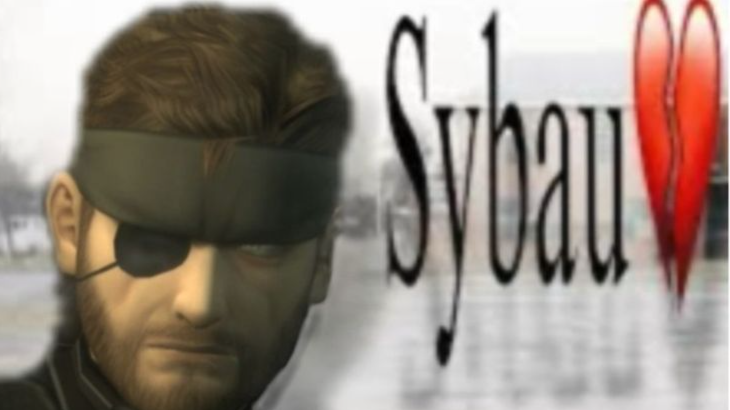 my snake is solidのバナー