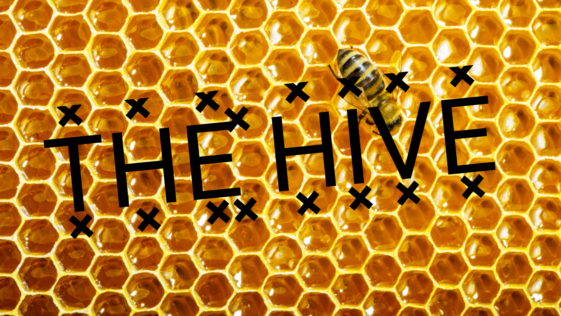 THE HIVEのバナー