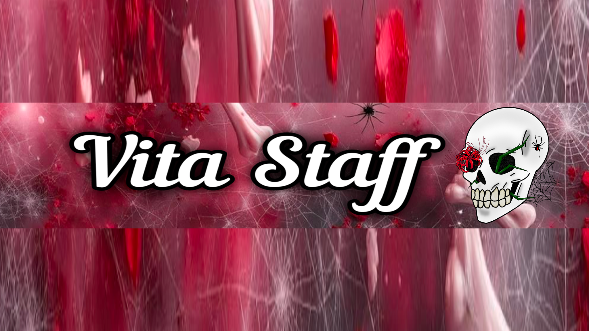 Vita Eventus Staffのバナー