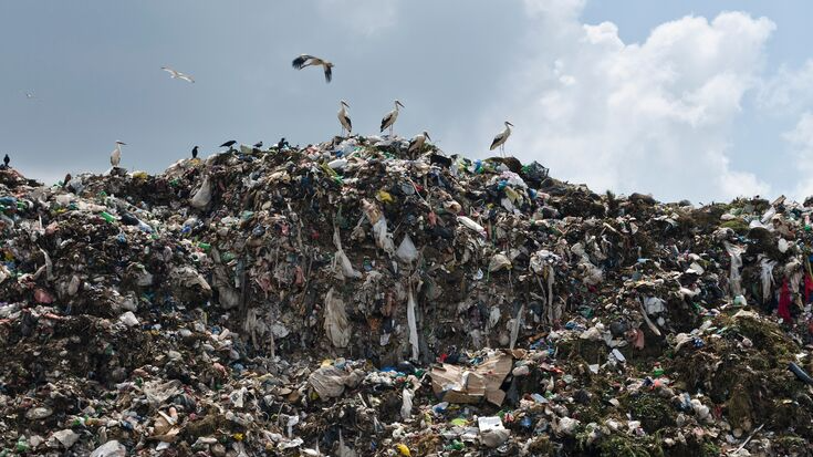 Verified Trash