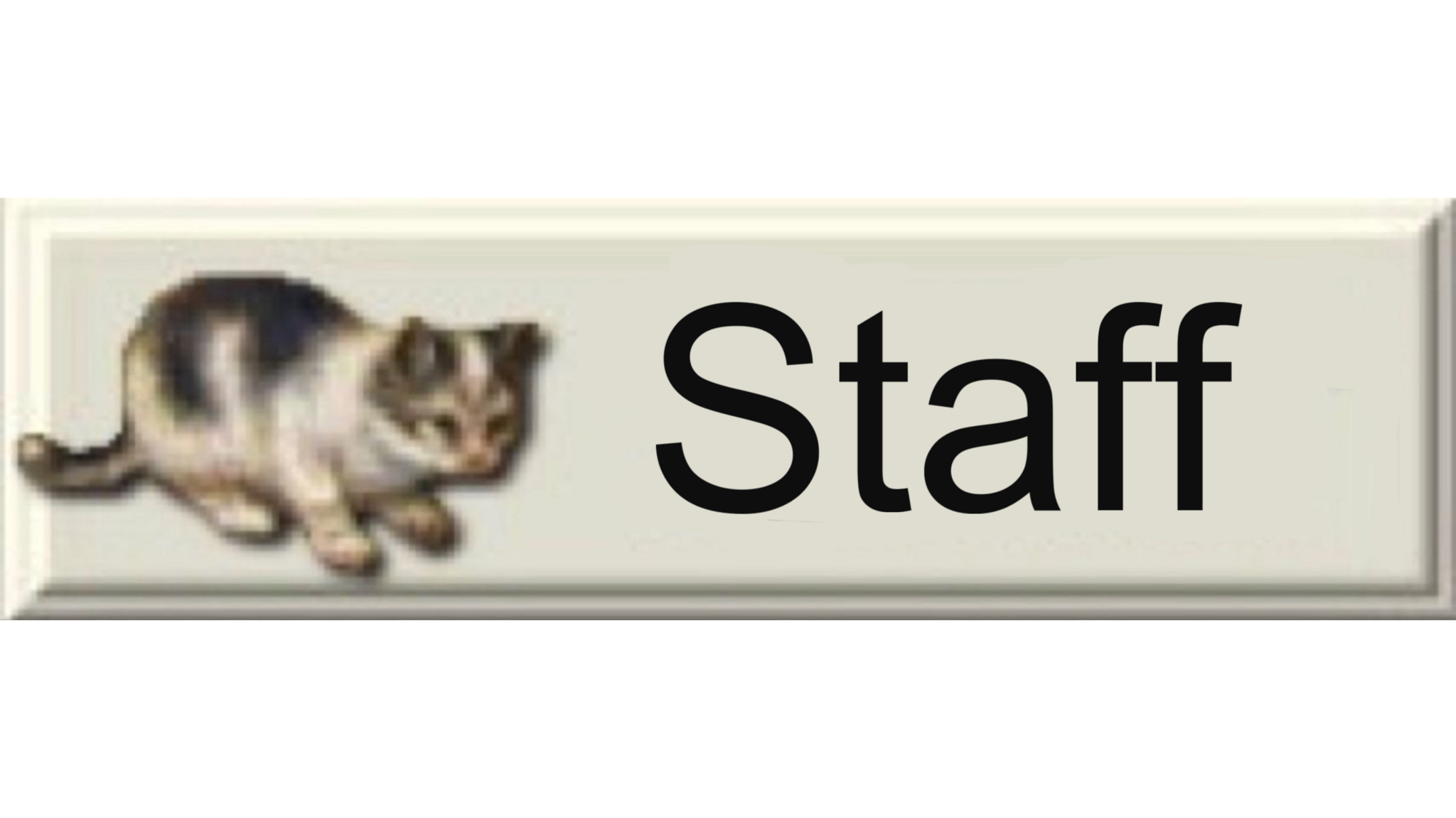 Vals Angels Staff