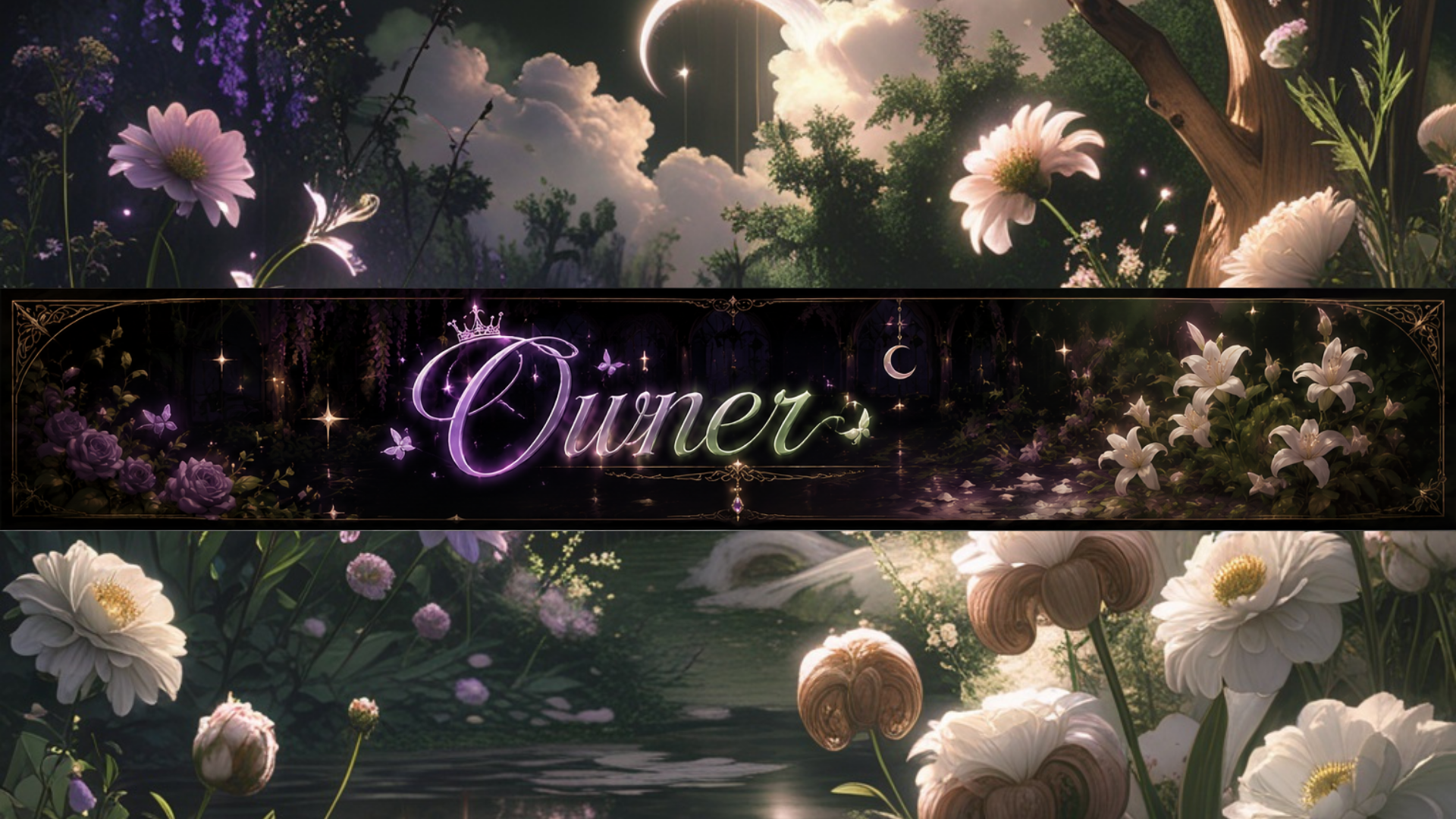 ANC Ownerのバナー