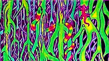 Hallucinationのバナー