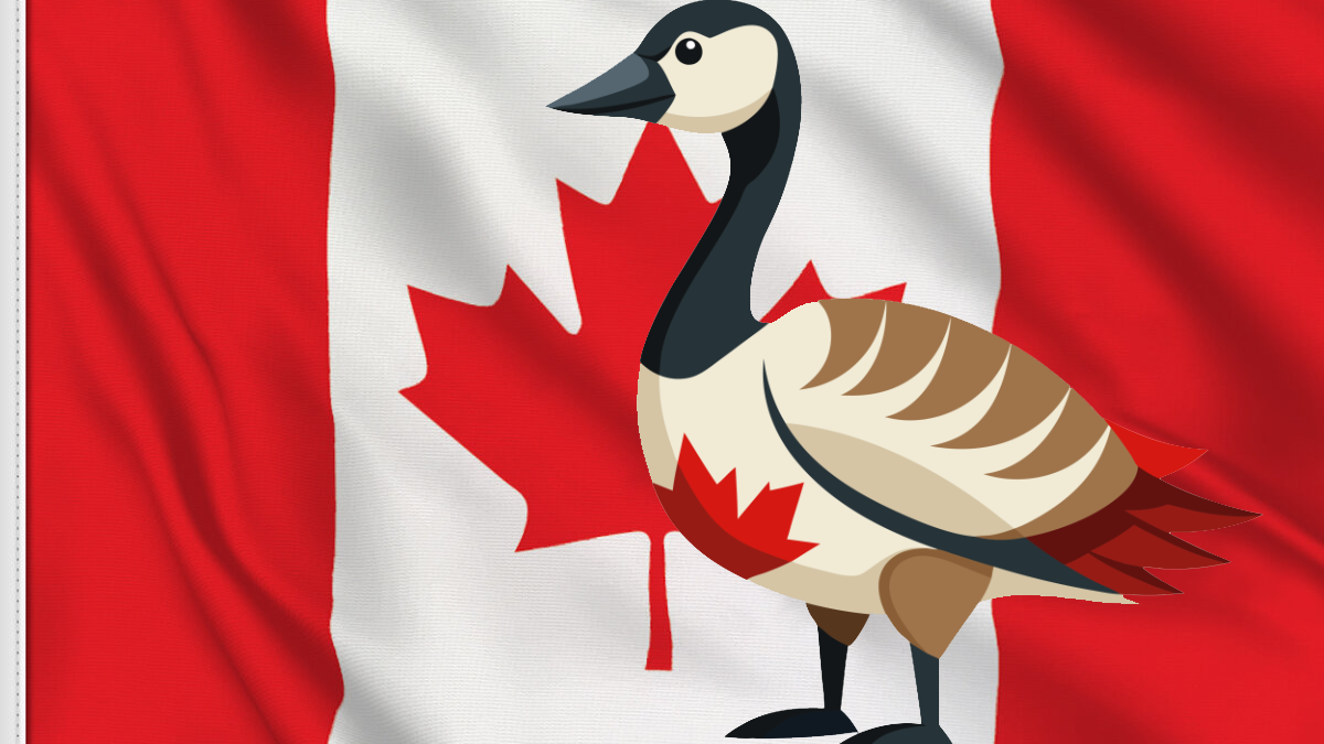The Canadia Gooseのバナー