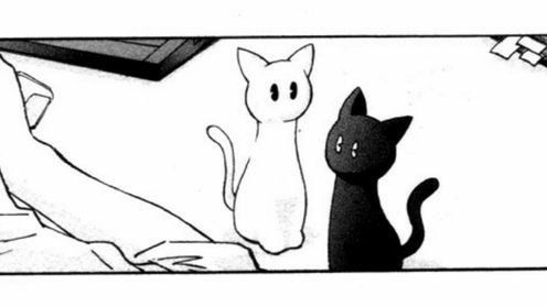 Litter Box Gang