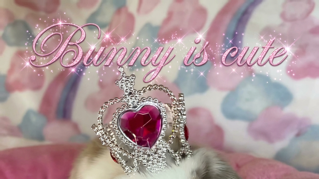 I AM BUNNYのバナー