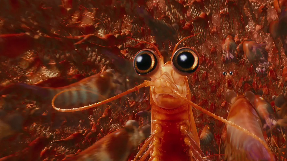「KRILL」