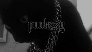 Punkszyのバナー