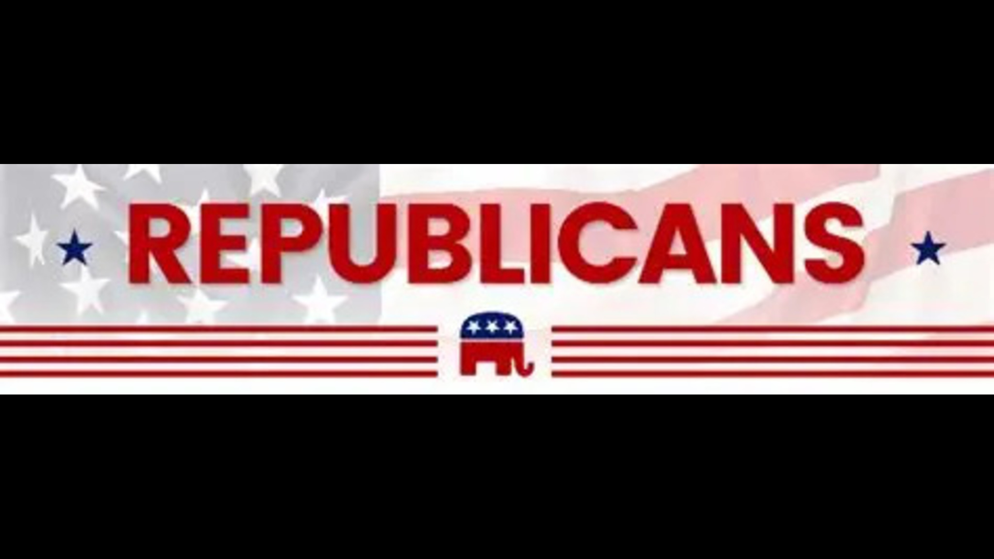 Tea Party Republicansのバナー