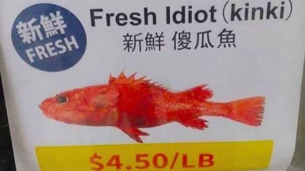 fresh idiot