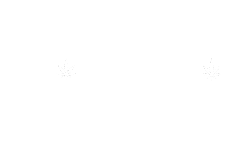 Too Highのバナー