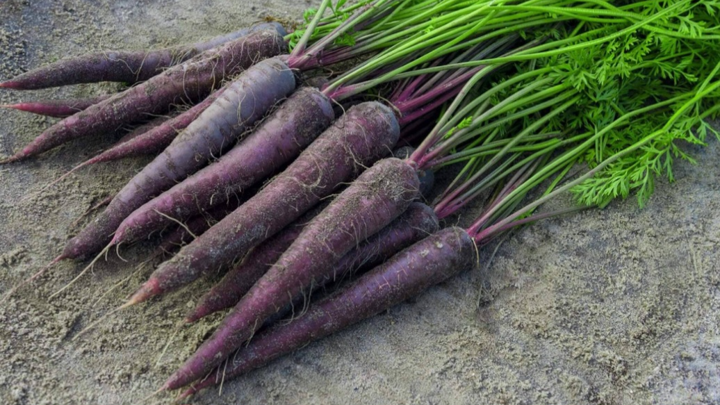 I like purple carrotsのバナー