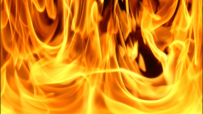 people who like to hangout with Foxfire012