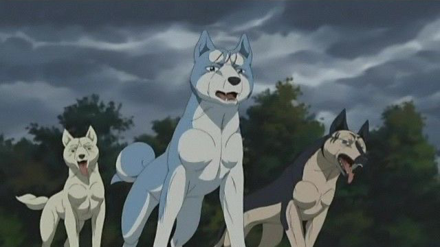 Ginga Densetsu Fans
