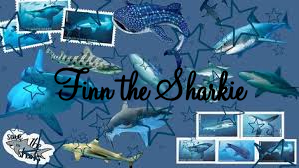 Finn the Sharkのバナー