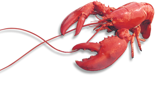 lobstersupremacy