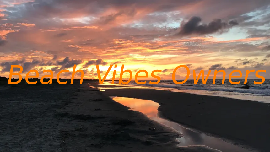 Beach Vibes Ownersのバナー