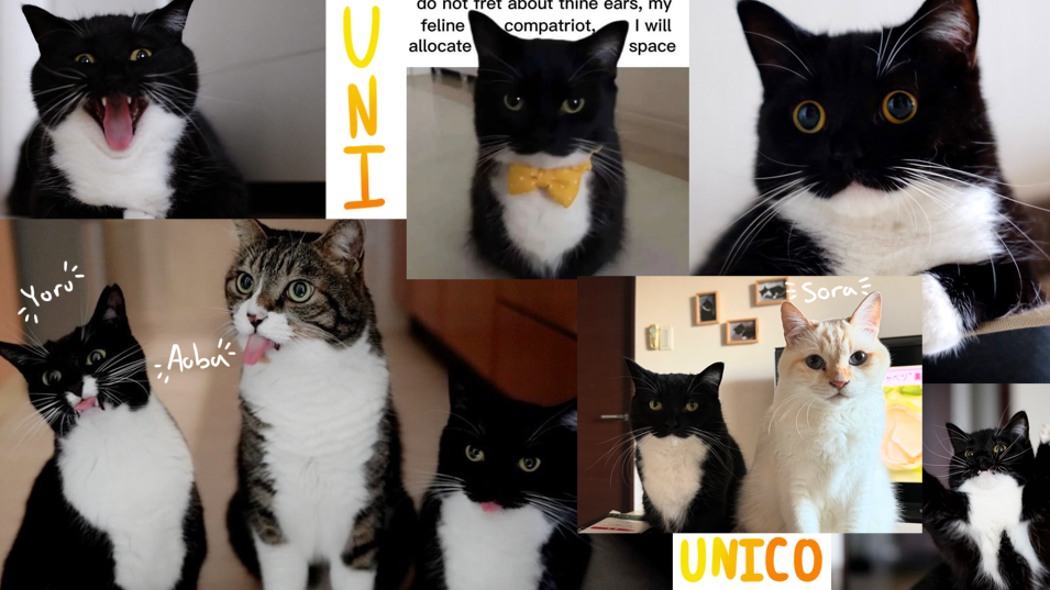 UniUnico Appreciation Supremacyのバナー