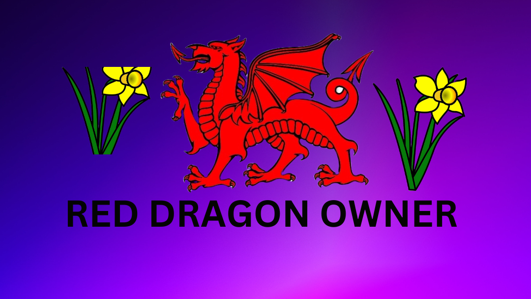 The Red Dragon Foundersのバナー