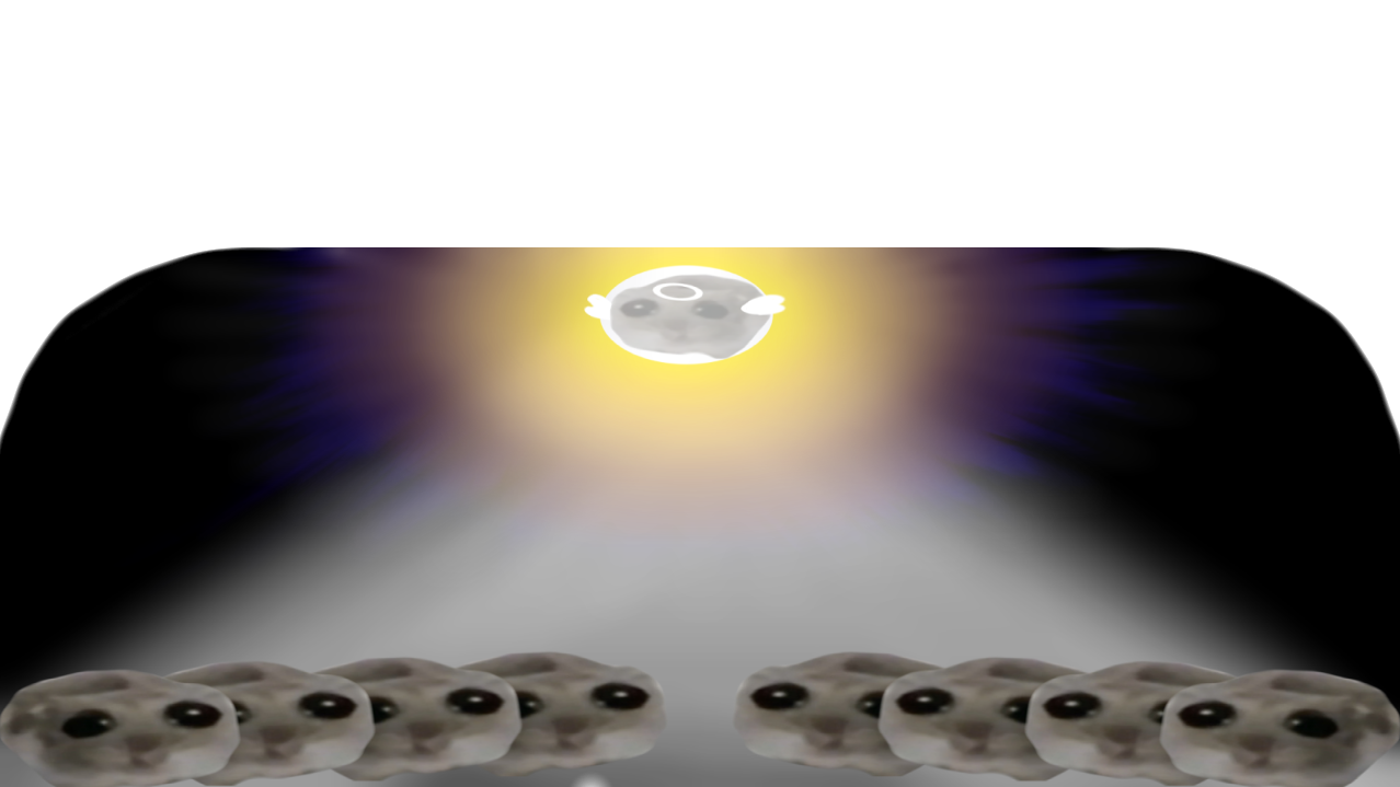 The Sun Cultのバナー