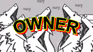 Owner of The Merpsのバナー